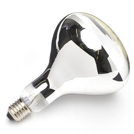 250W E27 Heat Bulb Food Service Catering Infra Red | Heat Lamp, shade