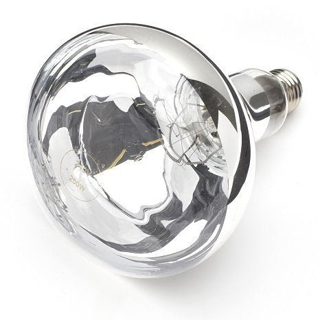 250W E27 Heat Bulb Food Service Catering Infra Red | Heat Lamp, shade